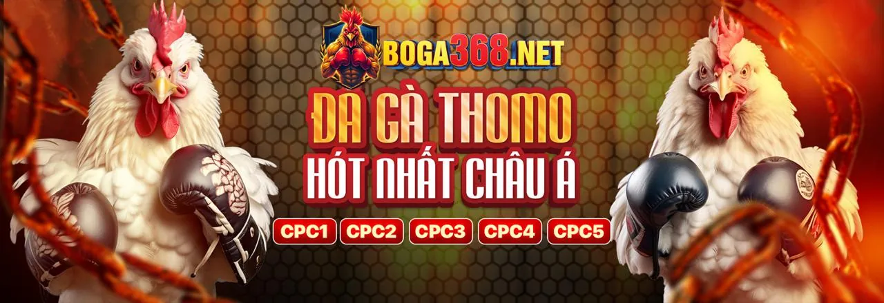 Nền tảng cá cược an toàn của BK8 .40